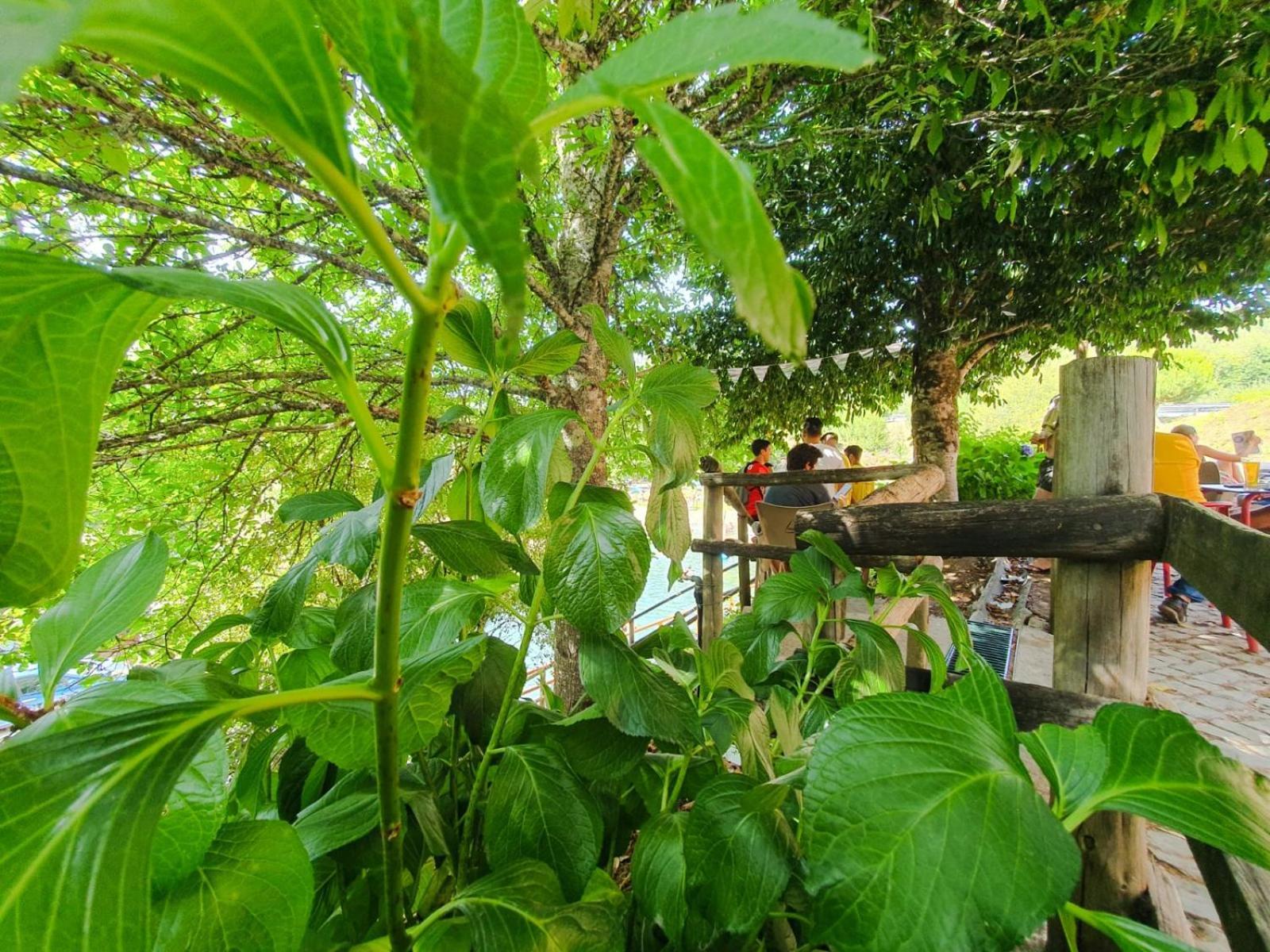 Villa Casa Elbi Figueiro Dos Vinhos Exterior foto